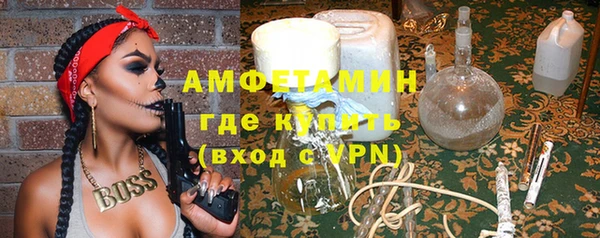 гидра Бронницы