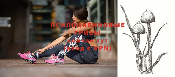 а пвп мука Богородицк