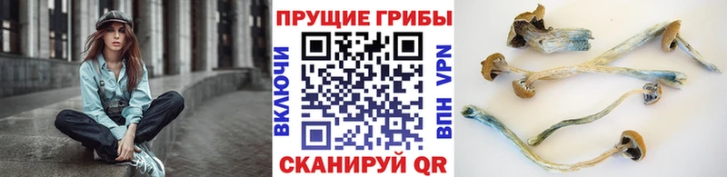 Галлюциногенные грибы ЛСД Озёрск